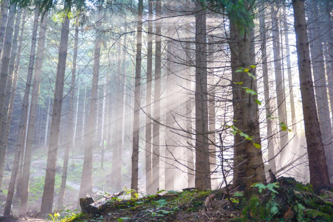 Landgasthof Falken Huttlingen エクステリア 写真