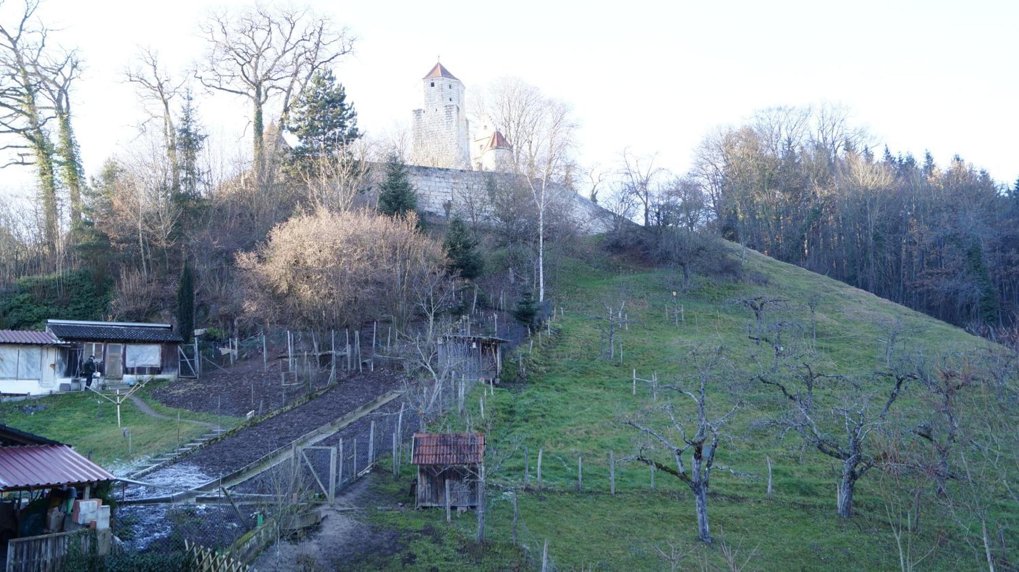 Landgasthof Falken Huttlingen 部屋 写真